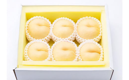 【先行予約】 しっかりした果肉と果汁たっぷりの岡山の白桃 ・ 恵白 1.5kg箱（約4個～6個） 【2025年9月上旬～2025年9月下旬発送予定】 ／ 桃 もも モモ はくとう めぐみはく 千曲白鳳 ちくまはくおう 川中島白桃 かわなかじまはくとう 交配種 果物 くだもの フルーツ デザート 冷蔵