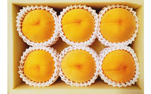 黄金桃 6玉（1.6kg以上） 化粧箱入り