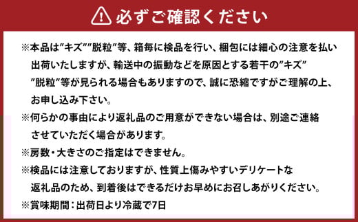 紫苑 2kg ぶどう 葡萄 フルーツ 果物 岡山県 岡山県産 2025年 先行予約 【2025年10月上旬-11月下旬発送予定】