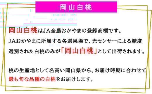 岡山白桃 エース 3玉 × 約200g 計約600g 岡山県産 （早生種・中生種） 【2026年7月上旬～8月下旬迄発送予定】 ／ 白桃 桃 もも 果物 果実 フルーツ 岡山県 美咲町 冷蔵