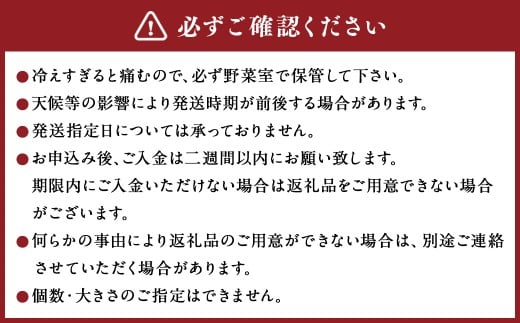 美咲しょうが 1kg ／ 生姜 しょうが ジンジャー
