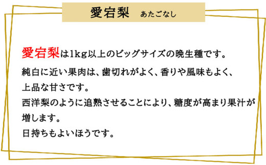 あたご梨 2玉 約1.8kg 【2026年11月下旬～12月下旬迄発送予定】 愛宕梨 梨 なし 和梨 果物 果実 フルーツ 大玉 岡山県 美咲町 常温