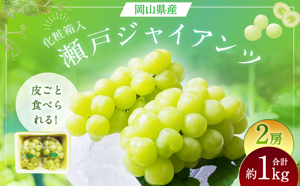 瀬戸ジャイアンツ 2房 （1房480g以上） 合計約1kg 化粧箱入り 【2026年9月上旬～10月上旬まで発送予定】 ／ マスカット 葡萄 ぶどう 果物 果実 フルーツ 皮ごと 岡山県 美咲町 冷蔵