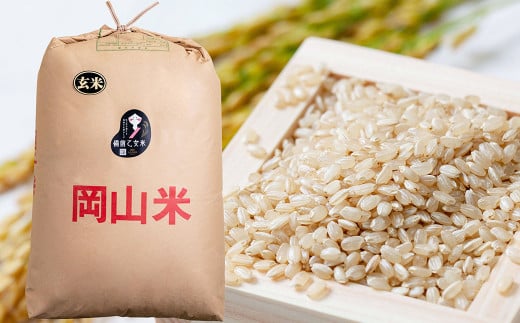 備前乙女米 玄米 30kg×1袋【2025年10月下旬～2026年9月下旬発送予定】 ／ お米 米 おこめ こめ コメ ご飯 ライス モチモチ 石原果樹園 岡山県 美咲町