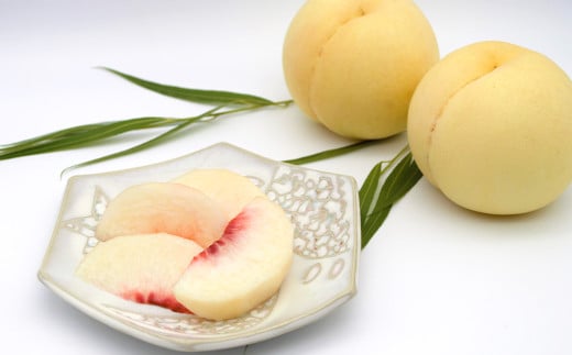 【ご家庭用】 岡山白桃 4~5玉 計約1.2kg 【2025年6月下旬～7月下旬発送予定】 ／ 白桃 桃 もも モモ