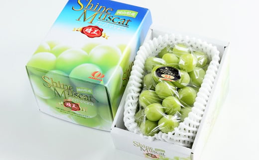 シャインマスカット 晴王 約600g×1房 【2025年8月下旬～11月下旬迄発送】 ／ マスカット 葡萄 ぶどう 果物 果実 フルーツ 種なし 皮ごと 大粒 岡山県 美咲町 冷蔵
