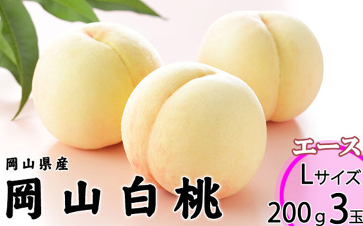 岡山白桃 エース 3玉 × 約200g 計約600g 岡山県産 （早生種・中生種） 【2026年7月上旬～8月下旬迄発送予定】 ／ 白桃 桃 もも 果物 果実 フルーツ 岡山県 美咲町 冷蔵