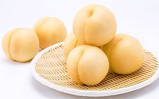 【先行予約】 しっかりした果肉と果汁たっぷりの岡山の白桃 ・ 恵白 1.5kg箱（約4個～6個） 【2025年9月上旬～2025年9月下旬発送予定】 ／ 桃 もも モモ はくとう めぐみはく 千曲白鳳 ちくまはくおう 川中島白桃 かわなかじまはくとう 交配種 果物 くだもの フルーツ デザート 冷蔵