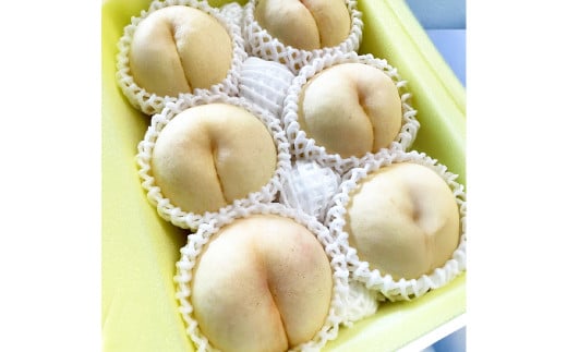 【先行予約】 希少品種 ・ 岡山の白桃 ・ 白露 2kg箱（約6個～9個） 【2025年9月発送予定】 ／ 桃 もも モモ はくとう はくろ 果物 くだもの フルーツ デザート 冷蔵