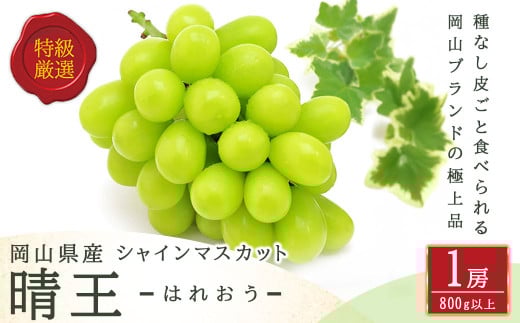 シャインマスカット 晴王 1房 （800g以上） 化粧箱入り 【2025年8月下旬～11月上旬発送予定】 ／ マスカット 葡萄 ぶどう 果物 果実 フルーツ 種なし 皮ごと 大粒 岡山県 美咲町 冷蔵