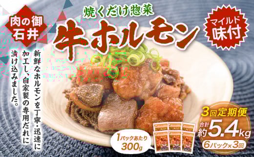 【3ヶ月定期便】焼くだけ総菜 肉の卸 石井 牛ホルモン 約1.8kg（約300g×6）×3回 計約5.4kg ／ 3回定期便 ホルモン 牛肉 お肉 肉 簡単調理 味付き たれ漬け おかず 総菜 惣菜 グルメ 定期便 岡山県 美咲町 冷凍
