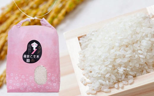 備前乙女米 白米 5kg×2袋（計約10kg）【2025年10月下旬～2026年9月下旬発送予定】 ／ お米 米 おこめ こめ コメ ご飯 精米 ライス モチモチ 石原果樹園 岡山県 美咲町