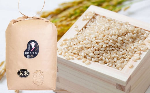 備前乙女米 玄米 10kg×1袋【2025年10月下旬～2026年9月下旬発送予定】 ／ お米 米 おこめ こめ コメ ご飯 ライス モチモチ 石原果樹園 岡山県 美咲町