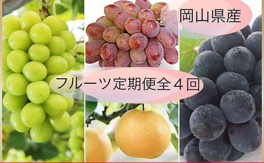 【果物定期便4回】（ニューピオーネ・晴王・紫苑・あたご梨）