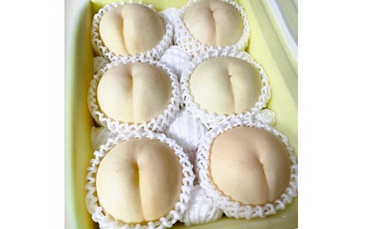 【先行予約】 希少品種の岡山の白桃 ・ CX 1.5kg箱（約4個～6個） 【2025年10月発送予定】 ／ 桃 もも モモ はくとう シーエックス 果物 くだもの フルーツ デザート 冷蔵