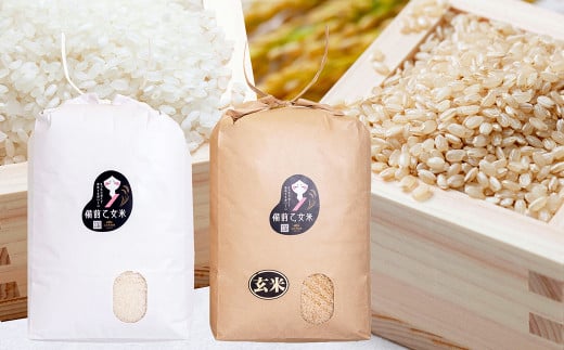 備前乙女米 白米 10kg×1袋・玄米 10kg×1袋（計約20kg）【2025年10月下旬～2026年9月下旬発送予定】 ／ 2種類 お米 米 おこめ こめ コメ ご飯 ライス 精米 モチモチ 石原果樹園 岡山県 美咲町