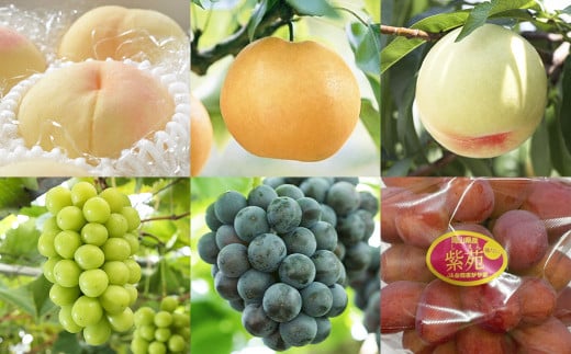 【6回定期便】岡山県産 フルーツ定期便コース （清水白桃 ・ 白桃 ・ ニューピオーネ ・ シャインマスカット 晴王 ・ 紫苑 ・ あたご梨） 【2025年7月上旬発送開始】 ／ 6回 桃 もも マスカット 葡萄 ぶどう 梨 なし 果物 果実 フルーツ 旬 定期便 岡山県 美咲町 冷蔵 常温