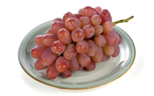 紫苑 2kg ぶどう 葡萄 フルーツ 果物 岡山県 岡山県産 2025年 先行予約 【2025年10月上旬-11月下旬発送予定】