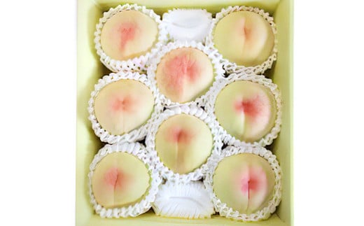 【先行予約】 とろける果肉とたっぷり果汁の岡山の白桃・白鳳 1.5kg箱（約4個～6個） 【2025年7月上旬～8月上旬発送予定】 ／ 桃 もも モモ はくとう はくおう 果物 くだもの フルーツ デザート 冷蔵