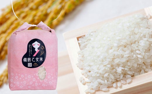 備前乙女米 白米 2kg×2袋 計約4kg 【2025年10月下旬～2026年9月下旬発送予定】 ／ お米 米 おこめ こめ コメ ご飯 精米 ライス モチモチ 石原果樹園 岡山県 美咲町