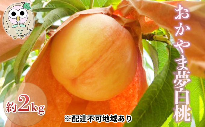 桃 白桃 おかやま夢白桃 約2kg 5〜7玉 もも フルーツ 果物 岡山 美咲町産
