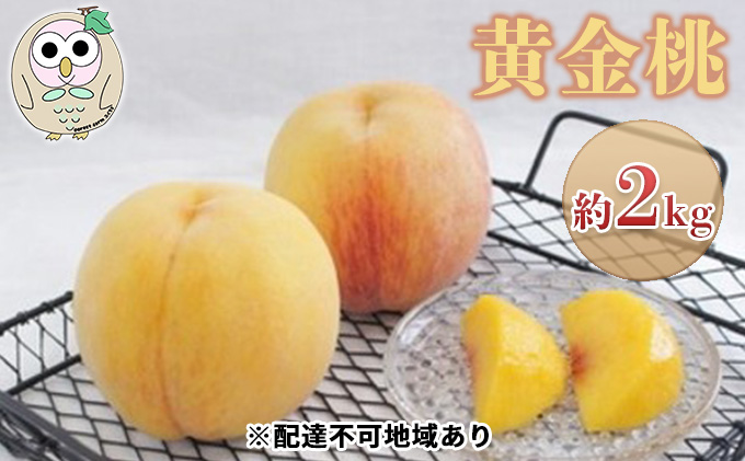 桃 黄桃 黄金桃 約2kg 5〜8玉 もも フルーツ 果物 岡山 美咲町産