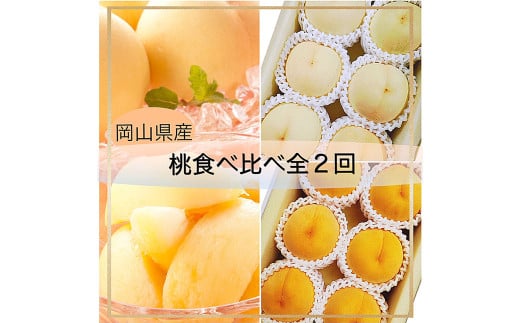【桃定期便2回】（白桃・黄金桃）