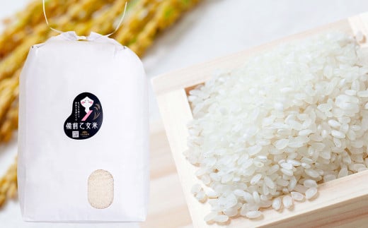 備前乙女米 白米 10kg×1袋【2025年10月下旬～2026年9月下旬発送予定】 ／ お米 米 おこめ こめ コメ ご飯 精米 ライス モチモチ 石原果樹園 岡山県 美咲町