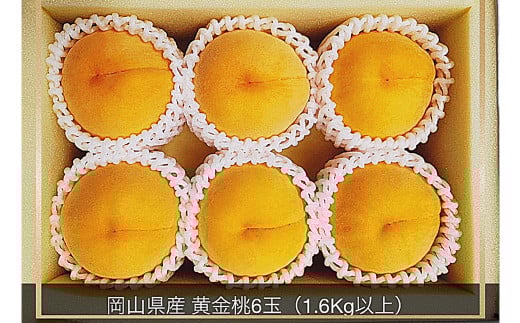 黄金桃 6玉（1.6kg以上） 化粧箱入り