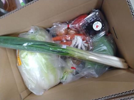 【引退競走馬支援!】吉備中央町産野菜セットB