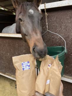 【引退競走馬支援!】お礼の品として馬へのご褒美