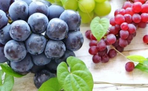 【引退競走馬支援!】岡山県吉備中央町産ピオーネお届けセット（9月上旬より順次お届け）