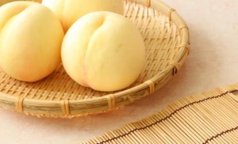 【引退競走馬支援!】岡山県産白桃 2kg＜7月中旬からのお届け＞