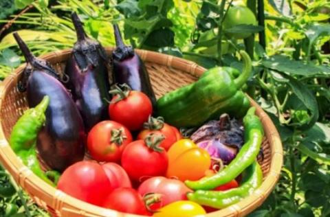 【引退競走馬支援!】吉備中央町の季節の商品Aセット