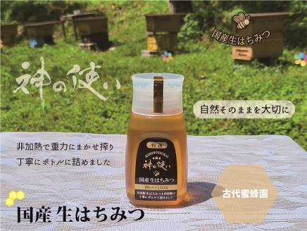 【引退競走馬支援!】神の使いHONEY　KiBi生はちみつ