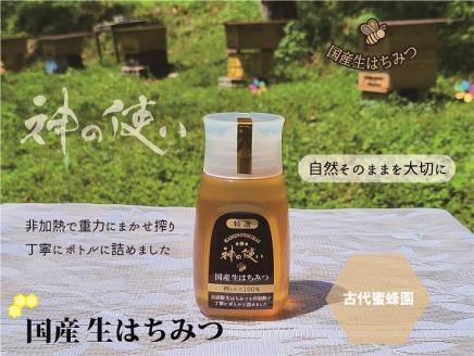 [引退競走馬支援!]神の使いHONEY KiBi生はちみつ