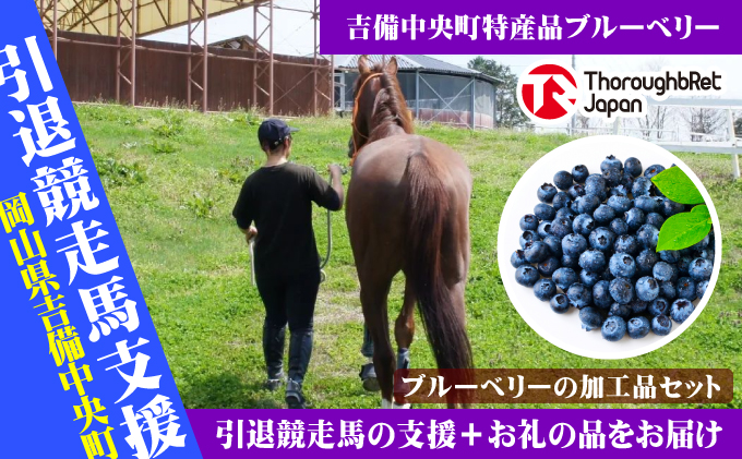 [引退競走馬支援!]吉備中央町産ブルーベリー加工品セットA