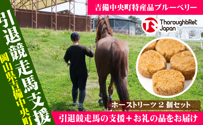 [引退競走馬支援!]ホーストリーツ2袋セット[にんじん味・さつまいも味]