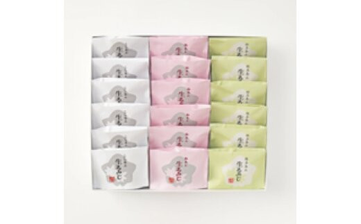 にしき堂 生もみじ 18個入詰合わせ