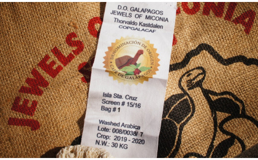 【限定１５０セット】ザワワな珈琲２４５　珈琲の王「ガラパゴスの奇跡／神様のNo.1ロット」他プレミアムセット９０ｇ