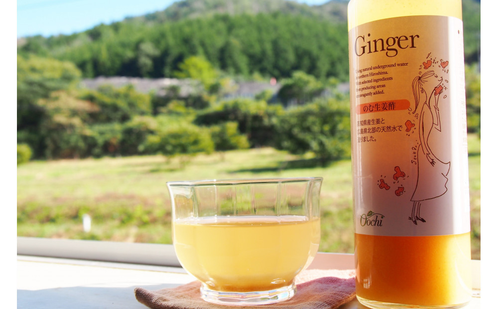 ＼年内発送／のむ酢セット（檸檬・柚子・生姜）【化粧箱入】5本＜のむ檸檬酢（3倍濃縮タイプ）200ml×3本・のむ柚子酢（3倍濃縮タイプ）200ml×1本・のむ生姜酢（3倍濃縮タイプ）200ml×1本）＞