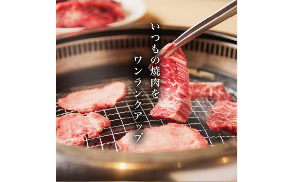タレ漬け牛ハラミ 500g （250g×2)