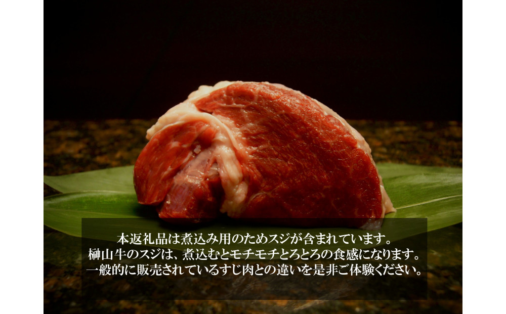 【訳アリ】 超希少黒毛和牛「榊山牛」煮込み用ブロック肉 500g  ビーフシチュー・ビーフカレー・赤ワイン煮等  美食  訳ありグルメ