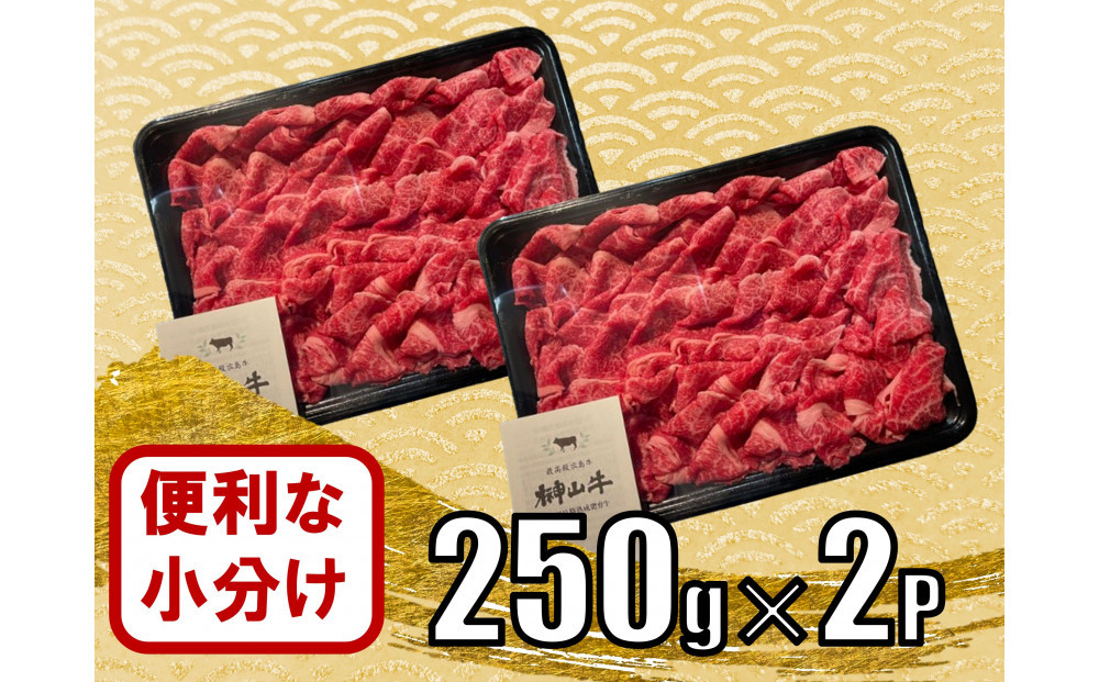 【訳あり】希少黒毛和牛「榊山牛」こま切れ肉500g（250g×２）すき焼き しゃぶしゃぶ 肉じゃが 黒毛和牛 グルメ  おすすめ