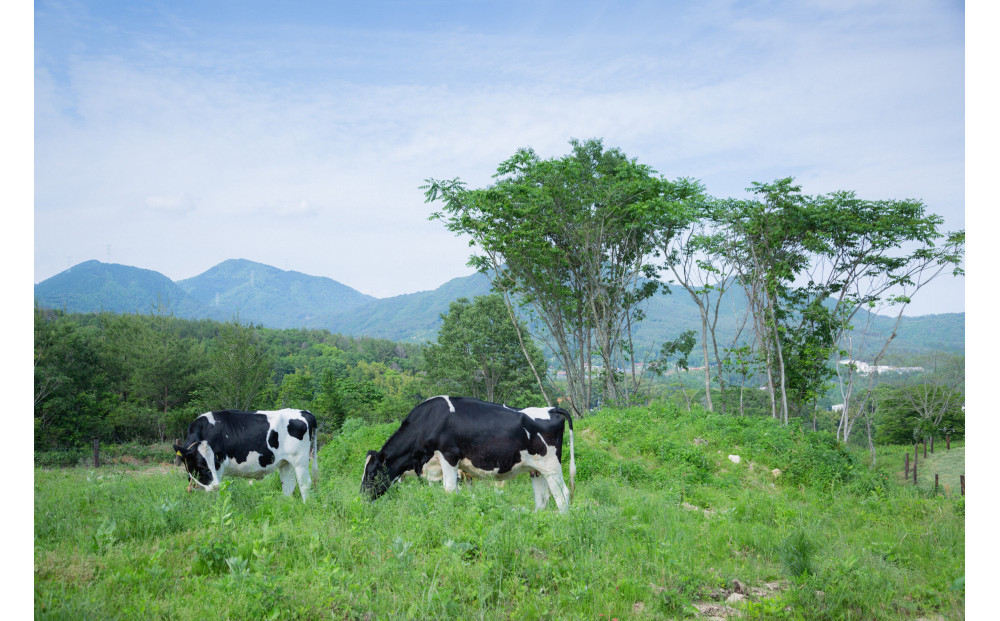 ひろしま さとやまプリン （プレーン３個、牧場生ミルク３個入り）