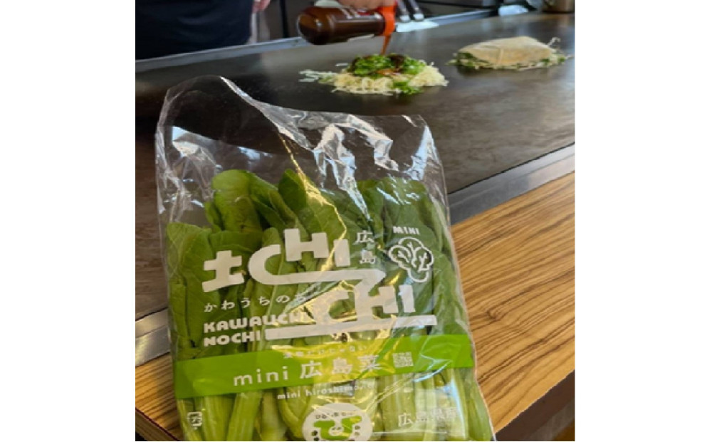 広島迷彩（名菜）焼き（そば）　1枚　