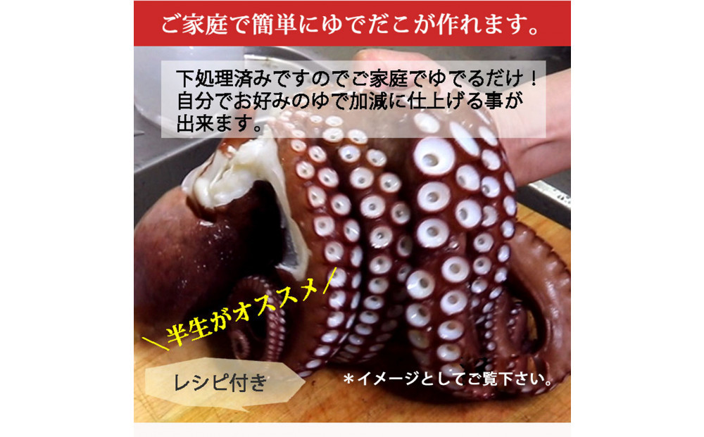 活き締め真たこ1ぱい約1kg　レシピ付き 蛸 生 刺身
