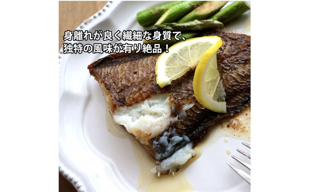 【下処理なし】赤舌平目 2尾（1尾、約250g～300g）れんちょうがれい レンチョウ