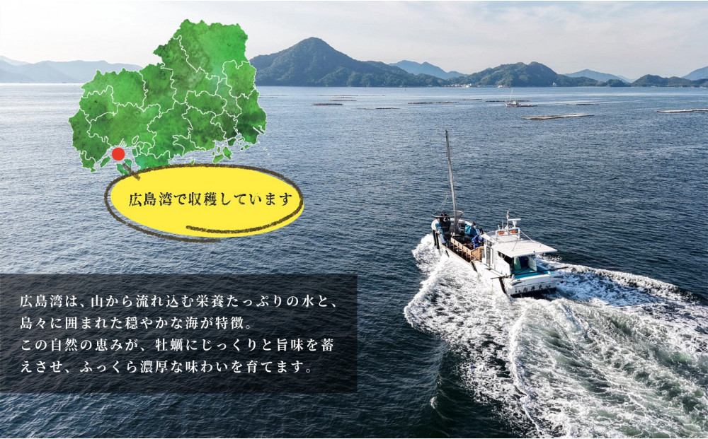 【先行予約】牡蠣　むき身 1kg 加熱用（2026年1月下旬以降発送）