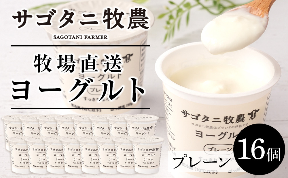 ＼年内発送／ 牧場直送 サゴタニ牧農 ヨーグルト  プレーン　16個セット